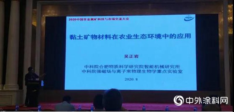 高岭土原矿在陶瓷行业的应用与未来趋势